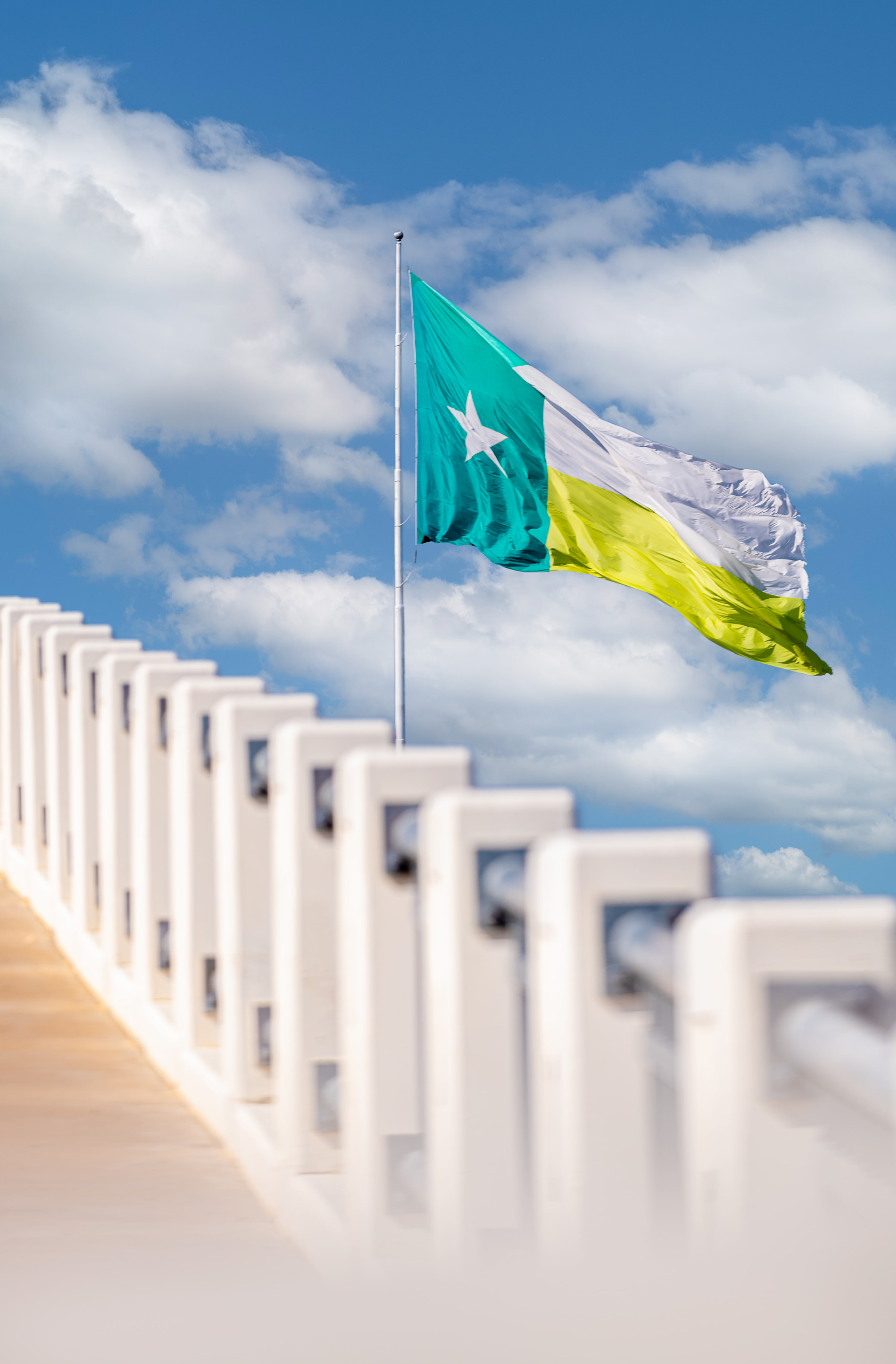 UNT Battle Flag image over pedestrian bridge