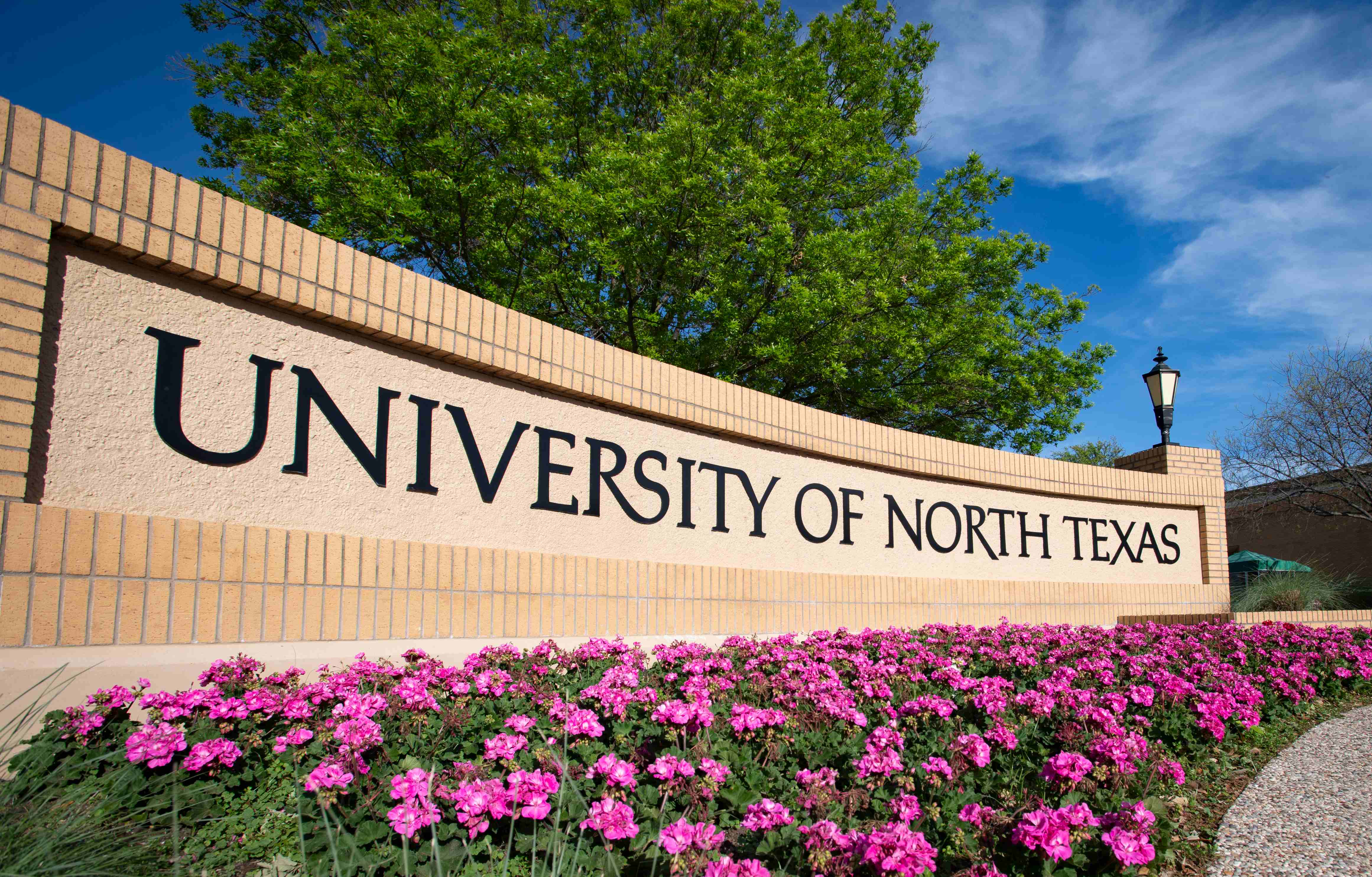 UNT sign with pink flowers