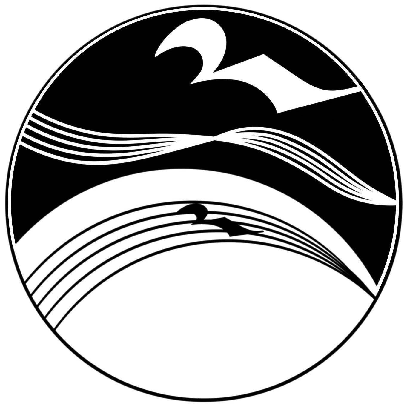 Wind Studies logo